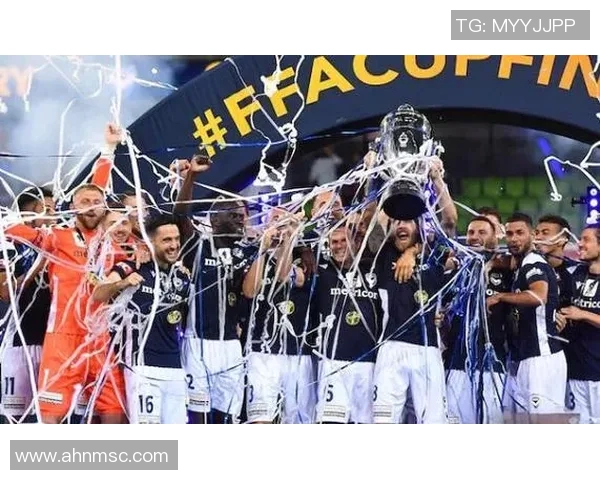 好惠灵顿凤凰迎战墨尔本胜利力争主场胜利展现球队实力